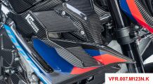  BMW S1000R (2021- ) Winglet Carénage Carbone