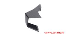  BMW S1000RR (2019- ) Winglet Carénage Carbone