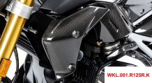  BMW R 1250 R Protège Radiateur en Carbone