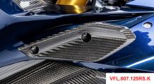  BMW R 1250 RS Winglet Carénage Carbone