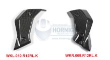  BMW R 1200 R, LC (2015-2018) Protège Radiateur en Carbone