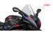 BMW S1000RR (2019- ) Pare-brise R-Racer