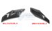 BMW R 1200 RS, LC (2015-) Sabot moteur