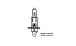 BMW F 650, CS, GS, ST, Dakar (1994-2007) Ampoule Phare Principal H1 12V/55W