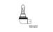 BMW R1200GS (04-12), R1200GS Adv (05-13) & HP2 Ampoule Phare Supplémentaire H11 12V/55W
