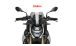 BMW S1000R (2021- ) Pare-brise Sport
