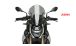 BMW S1000R (2021- ) Pare-brise Touring