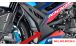 BMW S1000R (2021- ) Protège Radiateur en Carbone