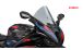 BMW S1000RR (2019- ) Pare-brise R-Racer