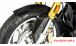 BMW R 1250 R Garde-Boue Avant en Carbone