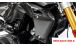BMW R 1250 R Protège Radiateur en Carbone
