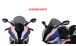 BMW S1000RR (2019- ) Pare-brise Racing