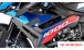 BMW S1000R (2021- ) Carbon Panneaux latéraux de carénage