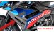 BMW S1000R (2021- ) Protège Radiateur en Carbone