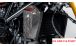 BMW R12nineT, R12, R12S & R12G/S Couvercle de refroidisseur d'huile en carbone