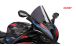 BMW S1000RR (2019- ) Pare-brise R-Racer