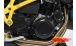 BMW F650GS (08-12), F700GS & F800GS (08-18) Couverture alternateur des protecteurs du carbone grande