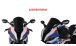 BMW S1000RR (2019- ) Pare-brise Racing