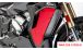BMW S 1000 XR (2020- ) Protège Radiateur en Carbone (complet)