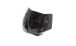 BMW R 1250 R Pare-Brise en carbone