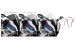 BMW S1000RR (2019- ) Pare-brise Racing