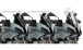 BMW S 1000 XR (2020- ) Pare-brise Sport