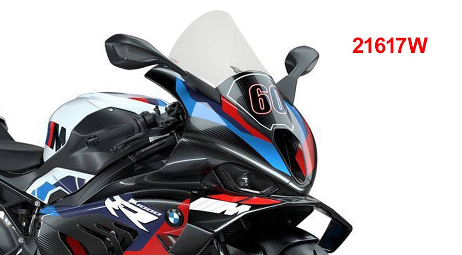 BMW S1000RR (2019- ) Pare-brise R-Racer