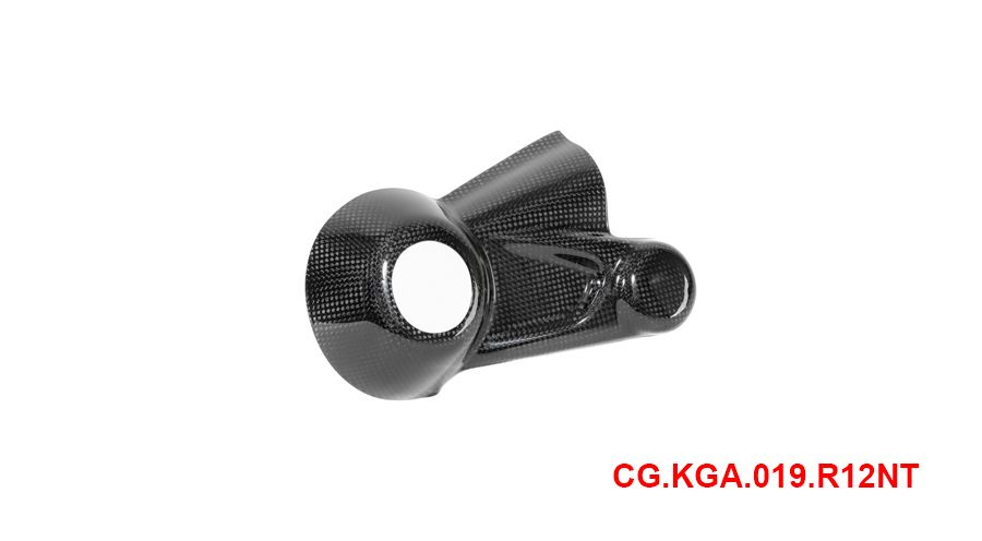 BMW R12nineT, R12, R12S & R12G/S Couvercle de carter de cardan en carbone