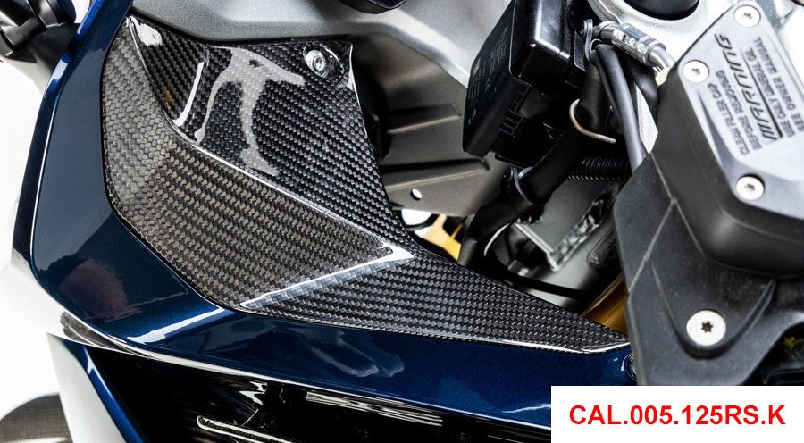 BMW R 1250 RS Couvercle en carbone pour partie latérale des instruments