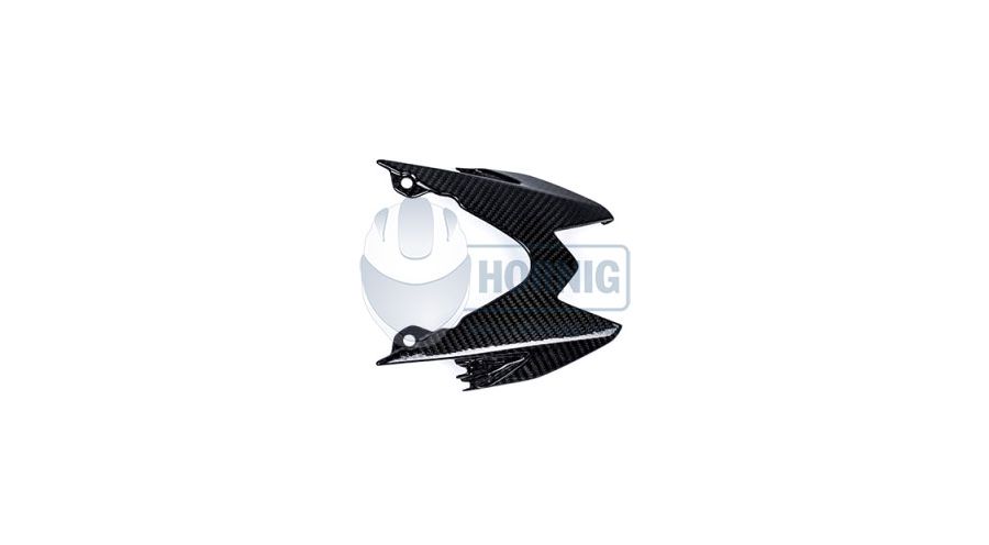BMW S1000RR (2009-2018) Cache Pour Feu Arrière