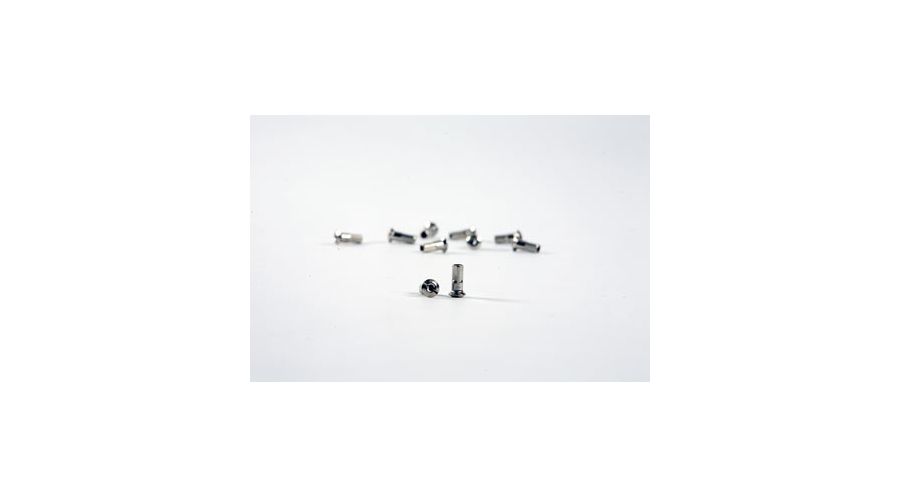 BMW R 80 Model Embout pour rayon