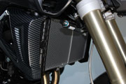 Protection pour radiateur pour BMW F 800 R (2015 - )