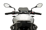 Pare-brise Sport pour BMW S1000R (2021- )