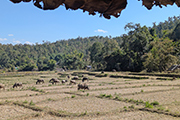 Mae Hong Son Loop - Étape 2